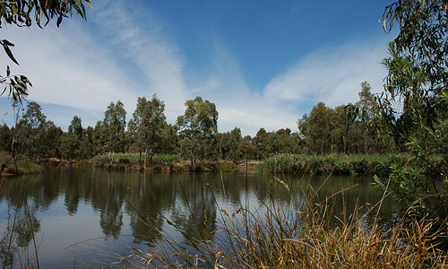 Wetlands